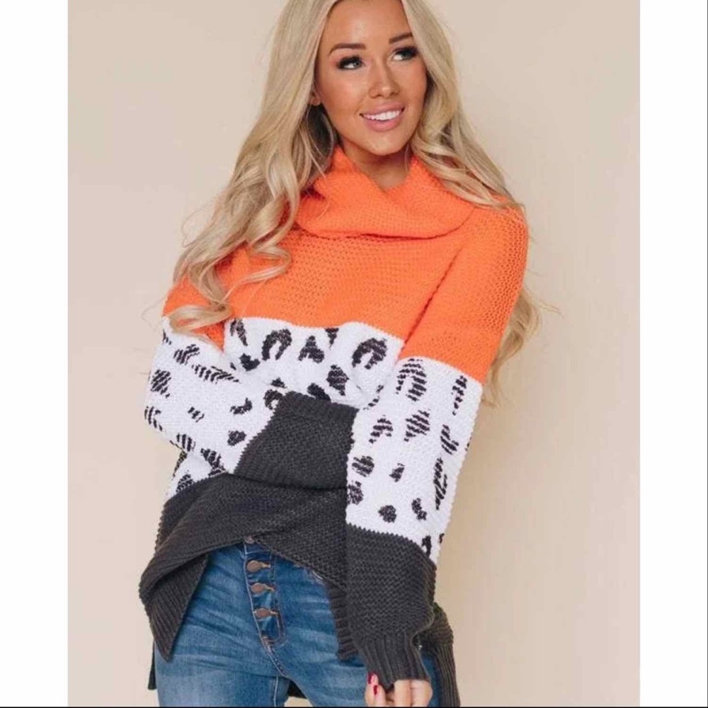 Leopard color block sweater